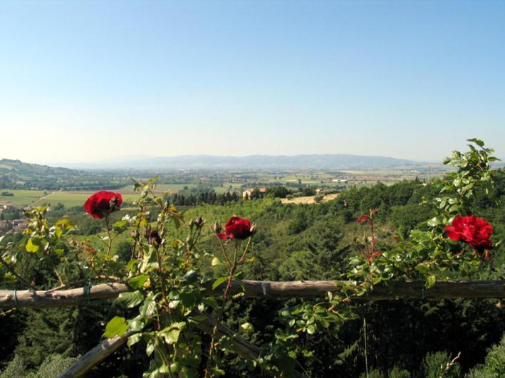 Castel D'Arno Konuk evi Perugia Dış mekan fotoğraf
